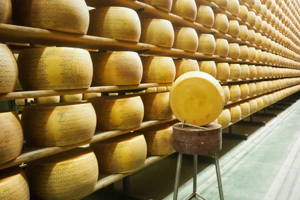 Stagionatura formaggi