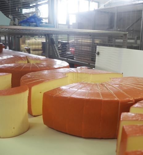 Azienda leader di Verona per la lavorazione dei formaggi